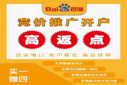 网络营销实战：成功竞价推广案例分析
